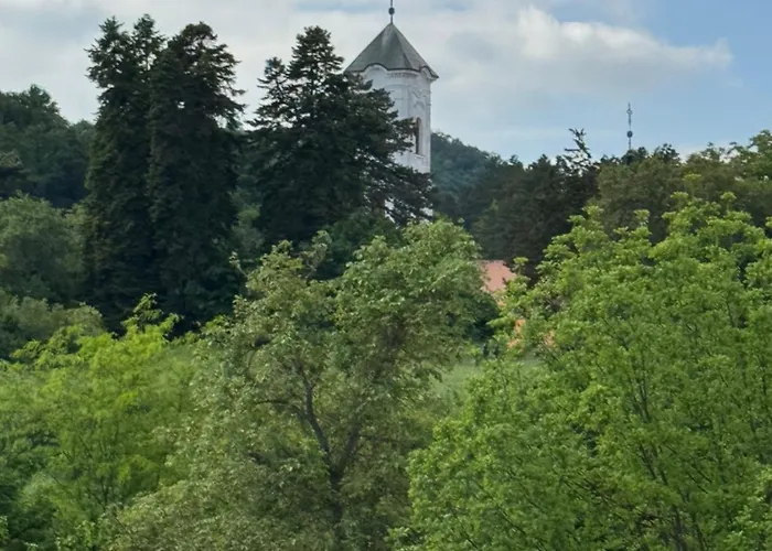 Stan Na Dan * فردنيك